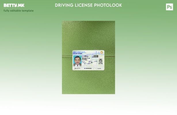 модерен стил САД Мичиген DL го претстави предниот шаблон за фото изглед